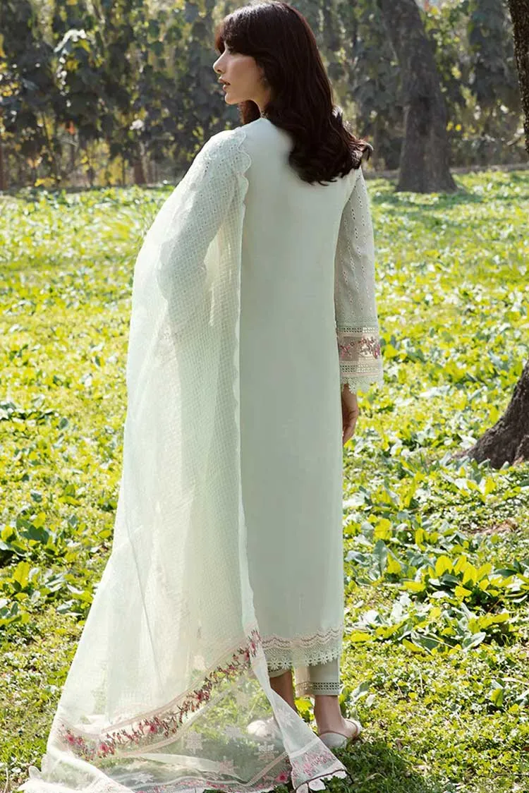 AK 05 Emhal Qline Lawn Collection