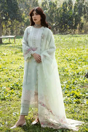 AK 05 Emhal Qline Lawn Collection