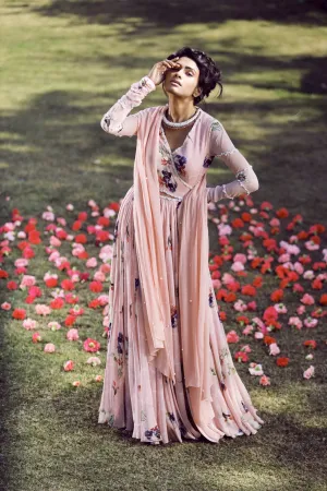 Blushback cut out anarkali set