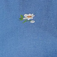 Plus Long Sleeve Embroidered Chambray Shirt